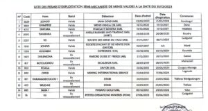 Burkina Faso : Liste des permis d’exploitation semi-mécanisée de mines valides à la date du 31/12/2023