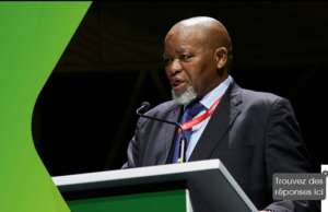 South Africa: Transparency in the granting of permits following the introduction of a new tool