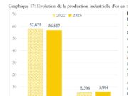 Burkina Faso : 56,857 tonnes d’or industrielles produit en 2023
