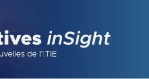 Validation ITIE : Le Ghana a obtenu 85,5 points, le Cameroun 53 points et Madagascar 67 points.