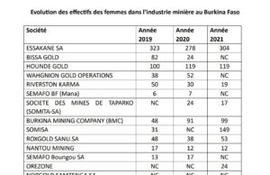 #Femme_dans_le_secteur_minier : La mine d’Essakane SA s’illustre avec 12,31 % selon ITIE-BF