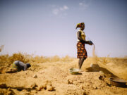 Sénégal : 50% de la main d’œuvre dans la mine artisanale sont les femmes qui gagnent moins que les hommes