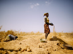 Spéciale 8 mars 2024 : Minesactu.info va publier une série d’articles sur « Femme dans le secteur minier »