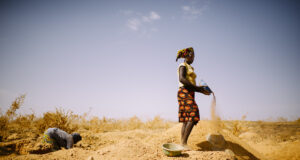 Spéciale 8 mars 2024 : Minesactu.info va publier une série d’articles sur « Femme dans le secteur minier »