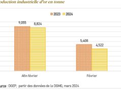 Burkina Faso : La production est de 8,824 tonnes d’or entre janvier et février 2024