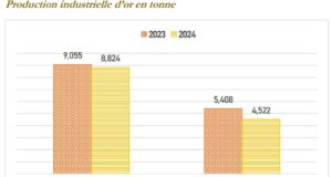 Burkina Faso : La production est de 8,824 tonnes d’or entre janvier et février 2024