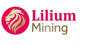 Burkina Faso : Lilium dépose des requêtes contre Endeavour Mining dans le cadre de la vente des mines de Wahgnion et de Boungou