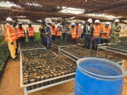 Burkina Faso : Echange autour des activités de gestion de la biodiversité et la réhabilitation minière d’IAMGOLD Essakane