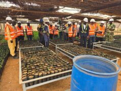 Burkina Faso : Echange autour des activités de gestion de la biodiversité et la réhabilitation minière d’IAMGOLD Essakane