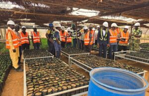 Burkina Faso : Echange autour des activités de gestion de la biodiversité et la réhabilitation minière d’IAMGOLD Essakane