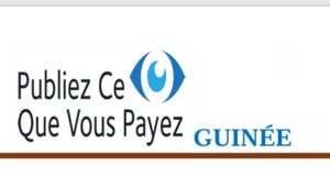 Guinée : « Le débat sur la gouvernance minière n’inclut pas les facteurs liés à la transition énergétique », PCQVP Guinée