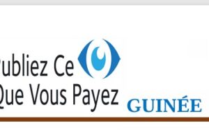 Guinée : « Le débat sur la gouvernance minière n’inclut pas les facteurs liés à la transition énergétique », PCQVP Guinée
