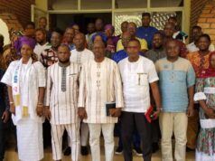 Burkina Faso : L’impact du secteur minier sur les espèces pourvoyeuses des produits forestiers non ligneux aux cœurs des échanges