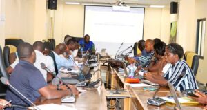 Burkina Faso: Bientôt un cadre de concertation au profit des acteurs de l’artisanat minier