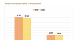 Burkina Faso : Une baisse de la production industrielle d’or en perspective en 2024