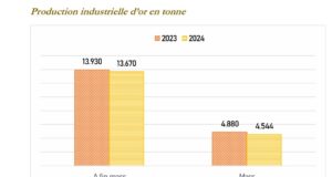 Burkina Faso : Baisse de la production d’or contre une hausse des prix de vente au premier trimestre 2024