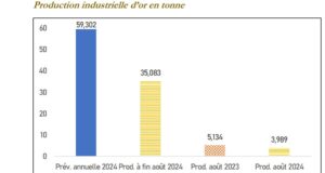 Cours de l’or : 6eme record atteint en aout 2024 avec 2 468,2 dollars US l’once