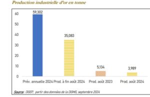 Cours de l’or : 6eme record atteint en aout 2024 avec 2 468,2 dollars US l’once