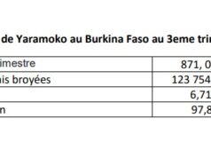 Burkina Faso : La mine de Yaramoko a produit 871,098 Kg d’or à une teneur de 6,71 grammes la tonne au 3eme trimestre 2024