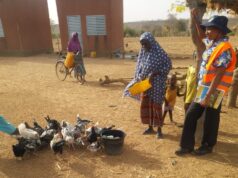 Mine de SOMISA : Un projet d’élevage de volaillesen faveur des ménages dans les villages impactés