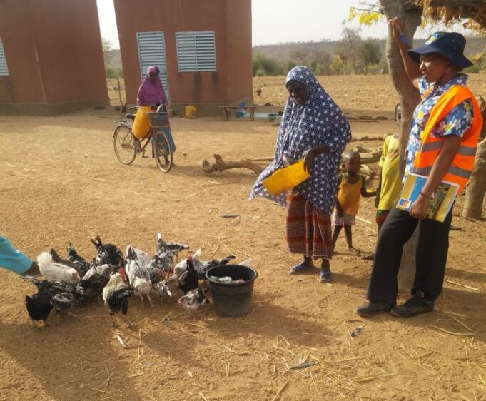 Mine de SOMISA : Un projet d’élevage de volaillesen faveur des ménages dans les villages impactés