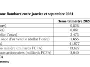 Orezone Bomboré : Baisse de la production d’or entre janvier et septembre 2024 imputable aux délestages