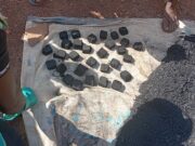 Protection de l’environnement : l’AFEMIB et l’ARM optent pour le charbon écologique