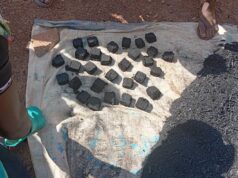 Protection de l’environnement : l’AFEMIB et l’ARM optent pour le charbon écologique