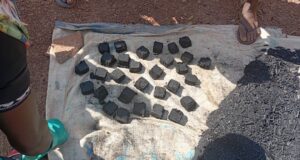 Protection de l’environnement : l’AFEMIB et l’ARM optent pour le charbon écologique