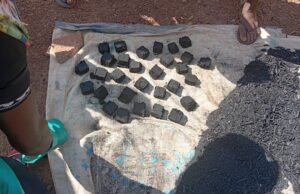 Protection de l’environnement : l’AFEMIB et l’ARM optent pour le charbon écologique