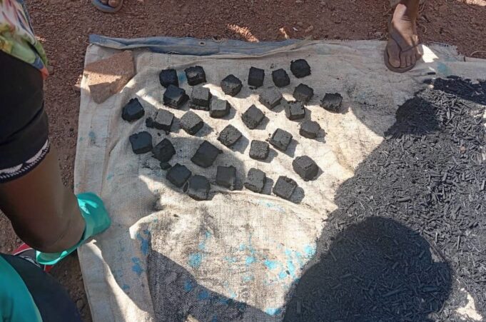 Protection de l’environnement : l’AFEMIB et l’ARM optent pour le charbon écologique