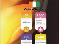 Côte d’Ivoire : Les 2 mines d’Endeavour ont produit environ 9,175 milliards FCFA entre janvier et septembre 2024