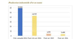Burkina Faso: 42,7 tonnes d’or produites entre janvier et octobre 2024
