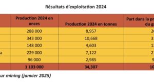 Endeavour mining : Houndé a produit 8,957 tonnes contre 4,603 tonnes pour Mana en 2024