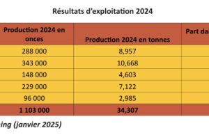 Endeavour mining : Houndé a produit 8,957 tonnes contre 4,603 tonnes pour Mana en 2024