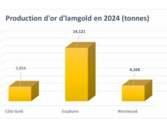 Burkina Faso : La mine d’Essakane a produit 14,121 tonnes d’or en 2024