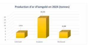 Burkina Faso : La mine d’Essakane a produit 14,121 tonnes d’or en 2024
