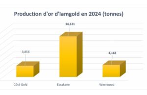 Burkina Faso : La mine d’Essakane a produit 14,121 tonnes d’or en 2024