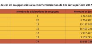 Flux financiers illicites : 1,727 milliards CFA transférés par an par les multinationales du Burkina Faso vers les paradis fiscaux