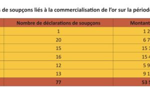 Flux financiers illicites : 1,727 milliards CFA transférés par an par les multinationales du Burkina Faso vers les paradis fiscaux