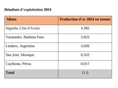 Burkina Faso : La mine de Yaramoko a produit 3,625 tonnes d’or en 2024 à une teneur moyenne de 8,21 grammes la tonne