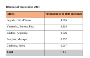 Burkina Faso : La mine de Yaramoko a produit 3,625 tonnes d’or en 2024 à une teneur moyenne de 8,21 grammes la tonne