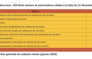 Burkina Faso : 424 titres miniers et autorisations valides au 31 décembre 2024