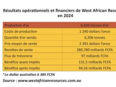 Burkina Faso : Augmentation de la production en 2025, avec l’entrée en production de Kiaka, de Toega et Boungou