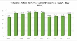 Genre dans le secteur minier : 25,05 % de femmes au ministère des mines en 2023 au Burkina Faso