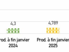 Burkina Faso : Production de 4,789 tonnes d’or en janvier 2025, en hausse de 11,3% par rapport à janvier 2024
