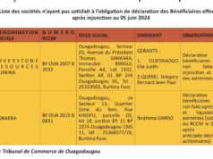 Déclaration des bénéficiaires réels des entreprises minières : Un dispositif à parfaire