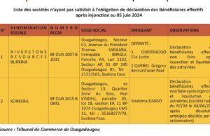 Déclaration des bénéficiaires réels des entreprises minières : Un dispositif à parfaire