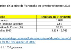 Burkina Faso: La mine de Yaramoko a produit 1,028 tonnes au 1er trimestre 2025 à une teneur moyenne de 7,81 grammes la tonne