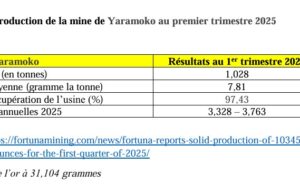 Burkina Faso: La mine de Yaramoko a produit 1,028 tonnes au 1er trimestre 2025 à une teneur moyenne de 7,81 grammes la tonne